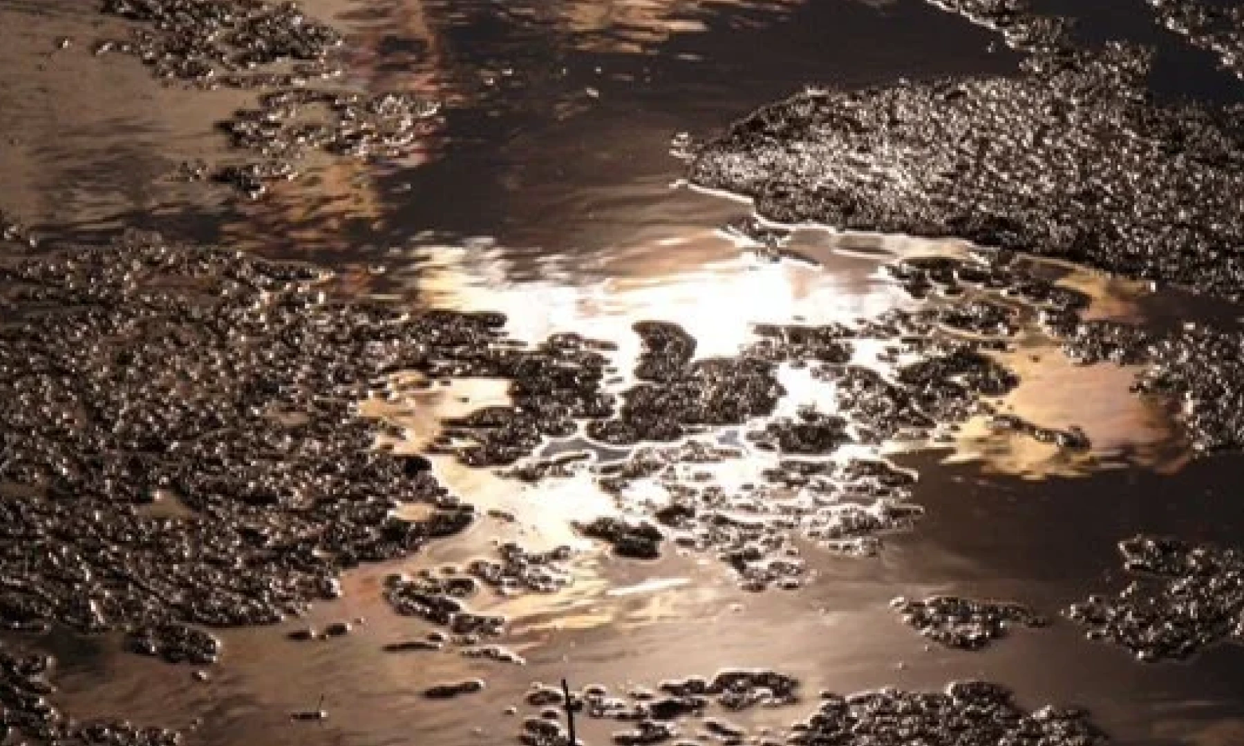 Environmental contamination